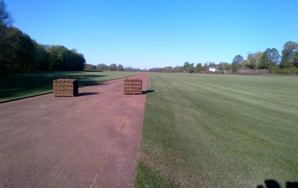 Prince Edward-20130516-00858