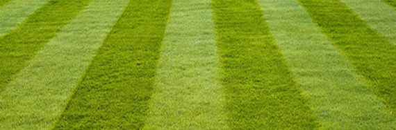Grounds Keeping